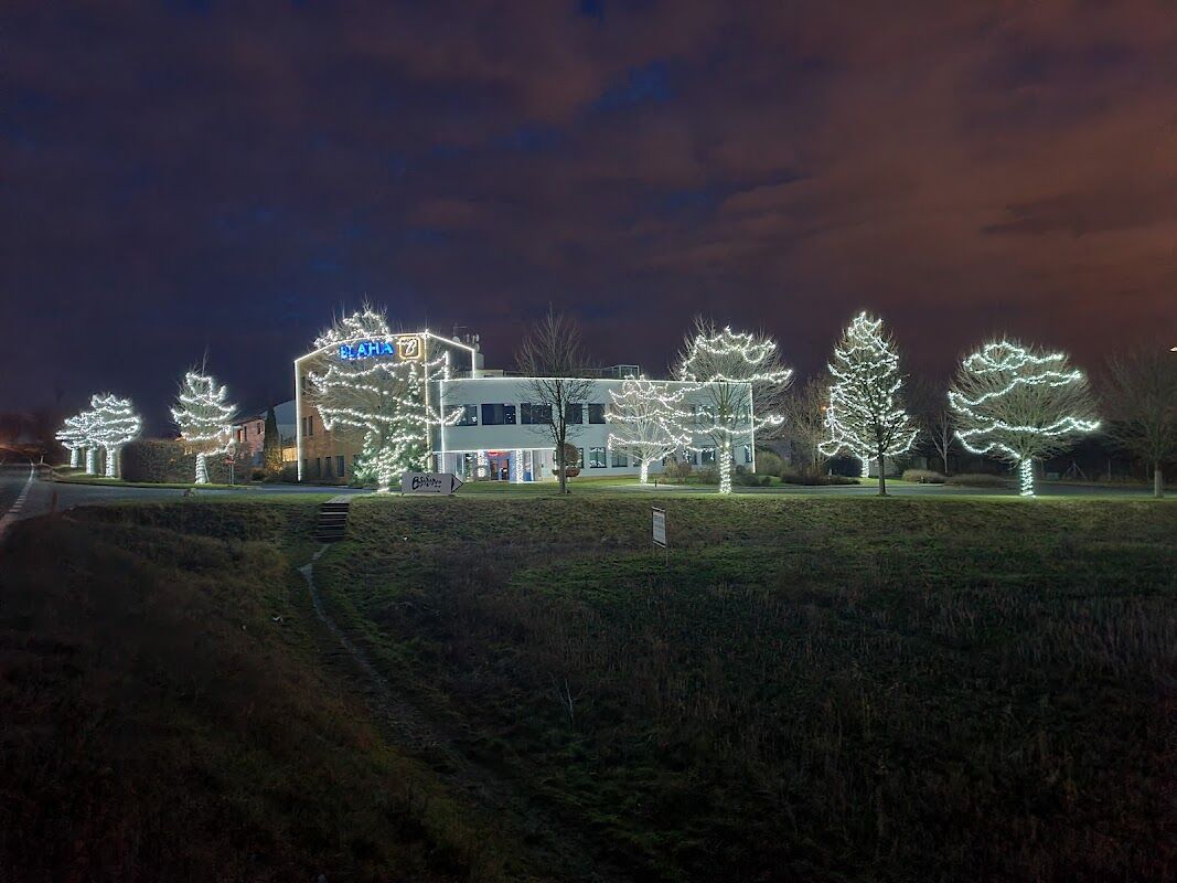 Noční pohled na osvětlené stromy